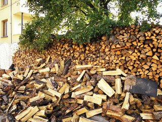 Dry chopped firewood logs in a pile.