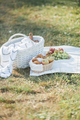 Picnic. Fruit in a basket, a blanket, baked goods in a basket in nature. Summer.