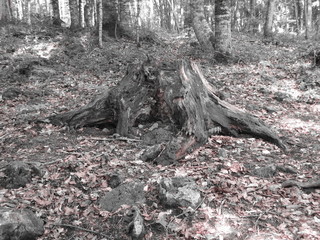 Архыз пещера путешествие отдых природа