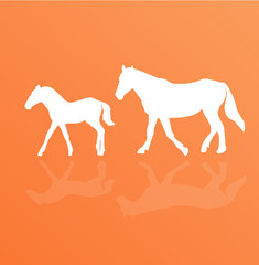 Obraz premium Horse silhouette