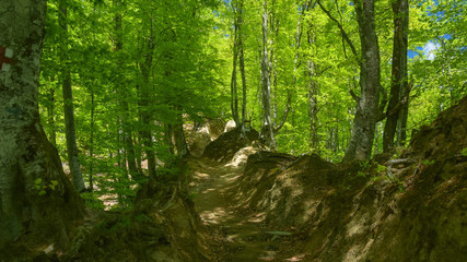 A trekking footpath inside Buila-Vanturarita National park, Romania