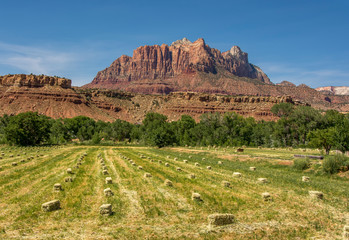 Hay Harvest Beneath Rugged Utah Mountains