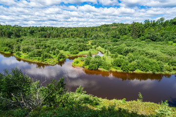 landscape with river in forest