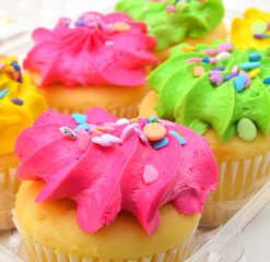 Colorful Cup Cake