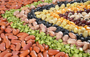 The ranks of different beans: kidney, mung, adzuki, pile cranberry, yellow sptit peas, black eye, preto. View from above.