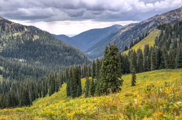 mountain landscape in the summer