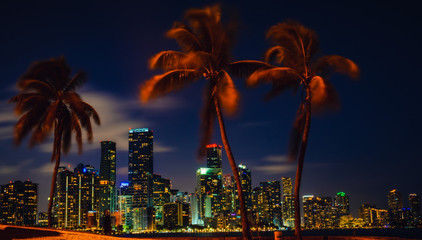 Miami Florida usa  skyline at night palm building 