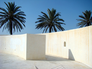 white walls and 3 palm trees against the blue sky