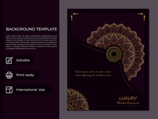 Luxury mandala background template design