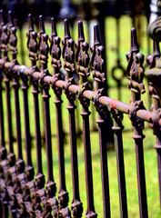 Antique Iron Fence