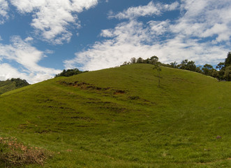 Fototapeta na wymiar Grass and hill