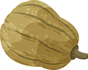 Cozy hygge style. Warm autumn mood. Green pumpkin isolated on white background. Cute flat cartoon vector illustration. Fall vibes, home design, Halloween.