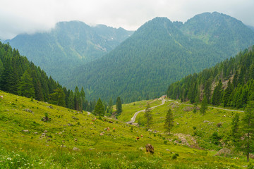 Landscape along the road to Manghen pass