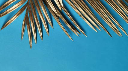 Top view,  Golden palm leaves on classic dark blue background.  Copy Space
