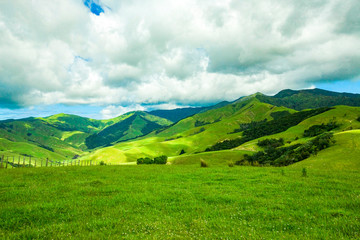 Beautiful hills in New Zealand