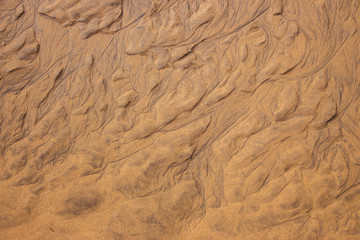 Fototapeta na wymiar Wet sand texture. Beige sand macro. Dune background close up. Terrain pattern. Sand surface. 