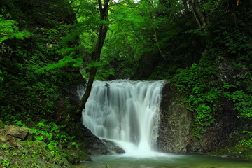 岩手県矢巾町　夏の幣掛の滝