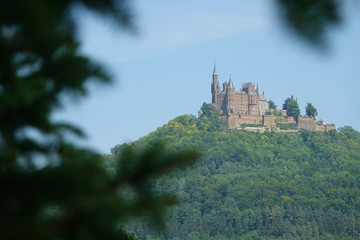 Popular Hohen Zollern Castle on a Mountain with many green trees. Tree out of focus in the fordergrund. Germany.