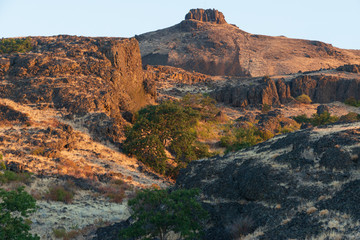 Columbia River basalt-rock cliffs, with Oak trees.