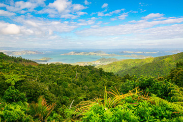 Fototapeta na wymiar View to the ocean coast and hills in New Zealand