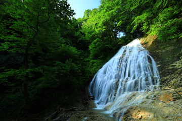 岩手県矢巾町　夏の大白沢の滝
