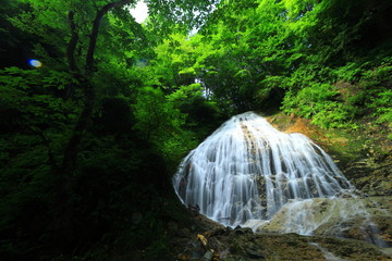 岩手県矢巾町　夏の大白沢の滝