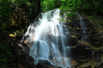 夏の北の沢大滝