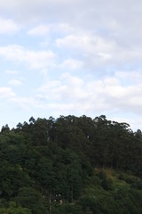 Landscape in the Basque Country