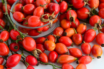 Dog rose Rosehips, types Rosa canina hips herbal Medicinal plants herbs composition	