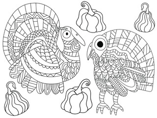 Two turkey birds and four pumpkins coloring page stock vector illustration. Traditional american fall holiday illustration. Funny thanksgiving day holiday horizontal worksheet for kids and adults.