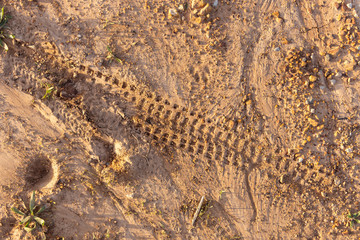 Bicycle tire tracks in the dirt.