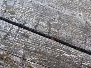 old wood texture