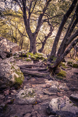 Wandern auf Mallorca in den Salt es Freu