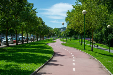 Carril bici con arboleda alrededor