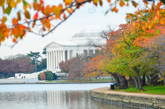 Autumn foliage in Washington D.C. - Jefferson Memorial
