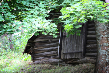 old wooden hut in the forest