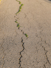 Risse in der Fahrbahn