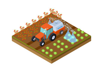 Automatic crop irrigation. Machine watering tomatoes and cabbage. Isometric plantation location, vegetables garden vector illustration. Isometric agricultural cultivation, illustration organic