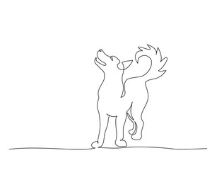 Continuous one line drawing. Walking dog. Vector illustration
