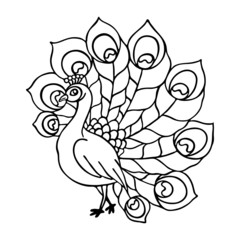 vector illustration, template in black, tattoo, peacock pattern, tropical bird, isolate on a white background