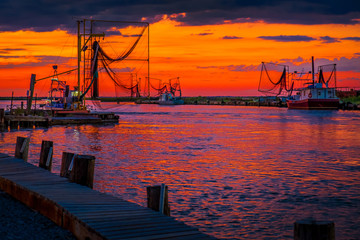 Obraz premium Shrimping on the Bayou