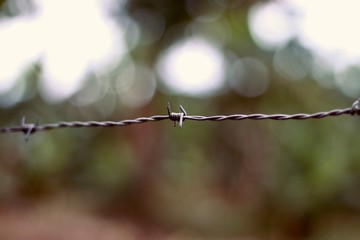 barbed wire fence