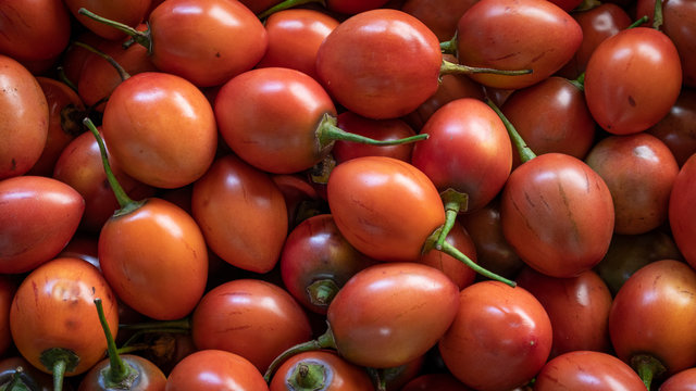 Tamarillo, egg-shaped edible fruit, also called tree tomato, tomate de arbol, tomate andino, tomate serrano, tomate de yuca