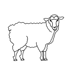 Sheep vector illustration. Lamb line drawing. Farm animal logo.
