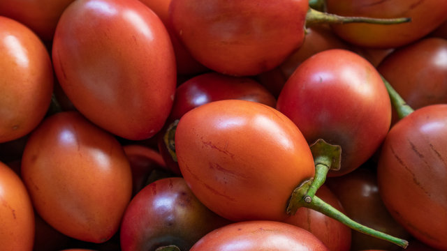 Tamarillo, egg-shaped edible fruit, also called tree tomato, tomate de arbol, tomate andino, tomate serrano, tomate de yuca