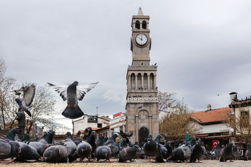 Doves in front of the clock tower in Hamamonu - Ankara, Turkey