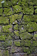 Stone wall with moss background