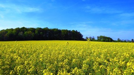 Obraz premium Landwirtschaft