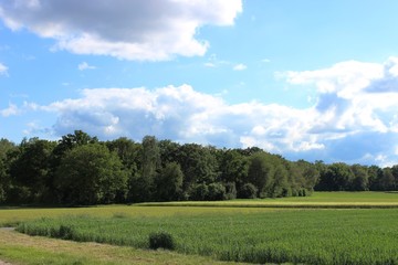 Fototapeta na wymiar Landwirtschaft