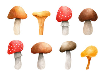 Set of forest mushrooms isolated on white background. Amanita, chanterelle, brown cap boletus. Watercolor hand-drawn illustration. Perfect for your project, card, prints, covers, patterns, invitations